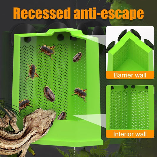 Corner Mounted Reptile Feeder Box