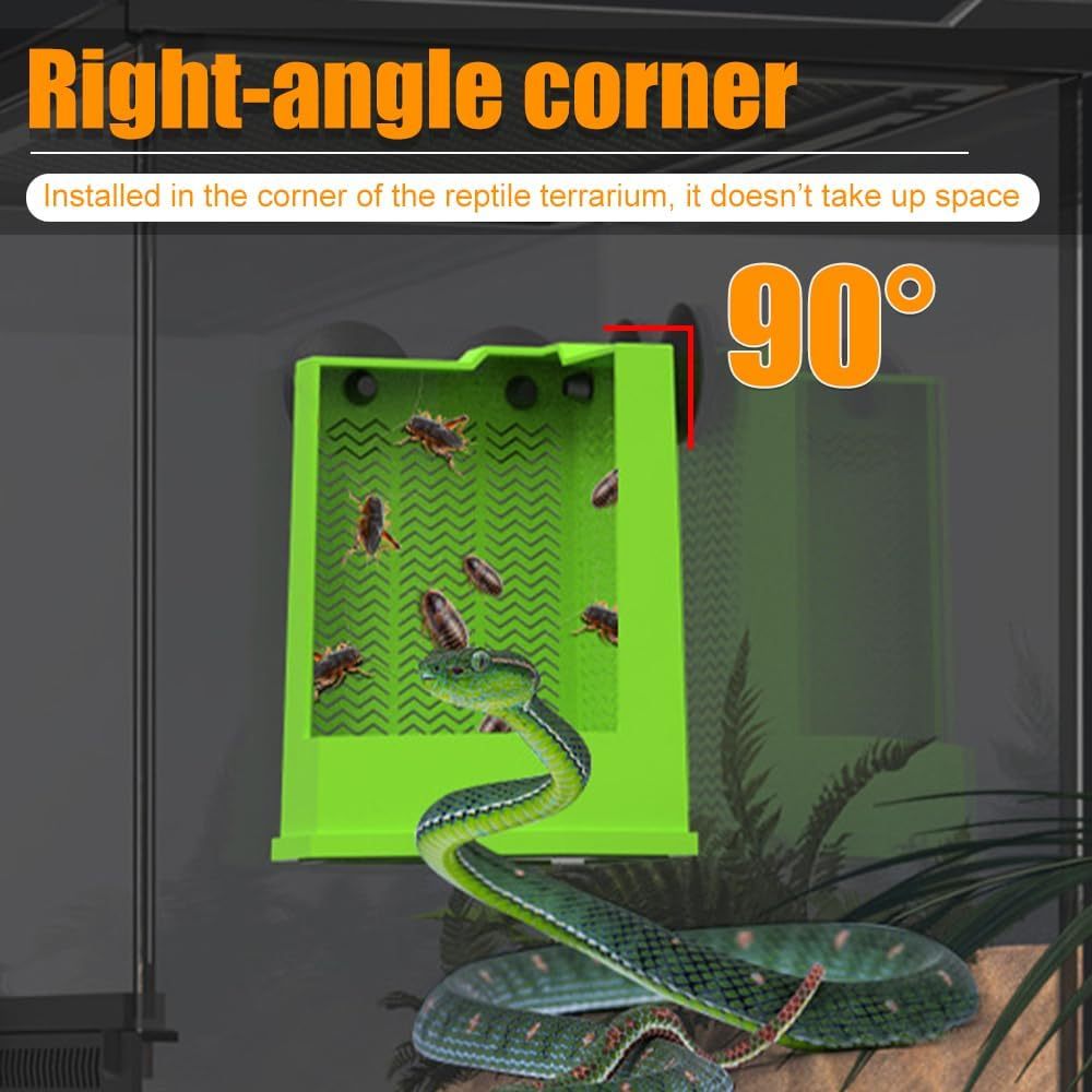 Corner Mounted Reptile Feeder Box