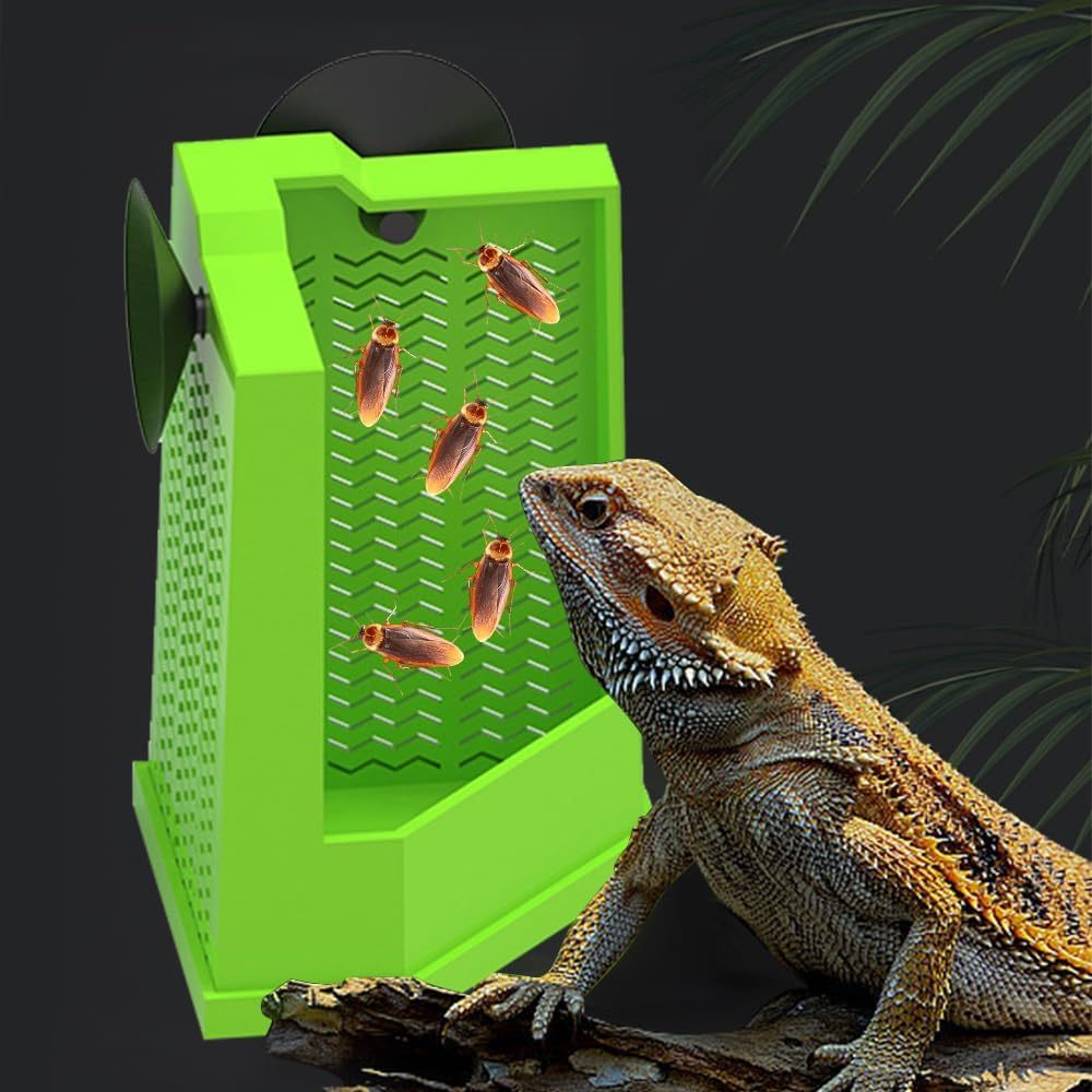 Corner Mounted Reptile Feeder Box