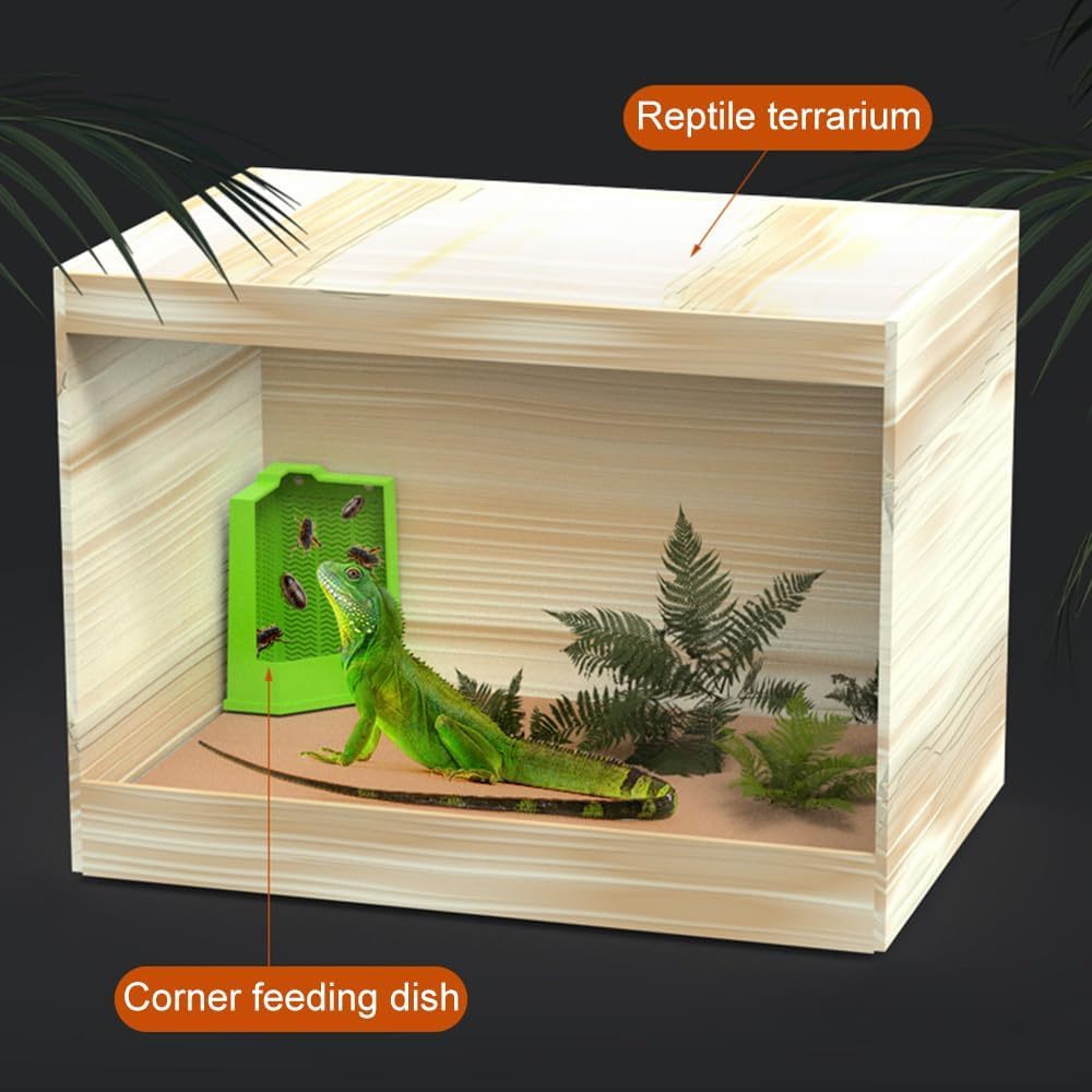 Corner Mounted Reptile Feeder Box