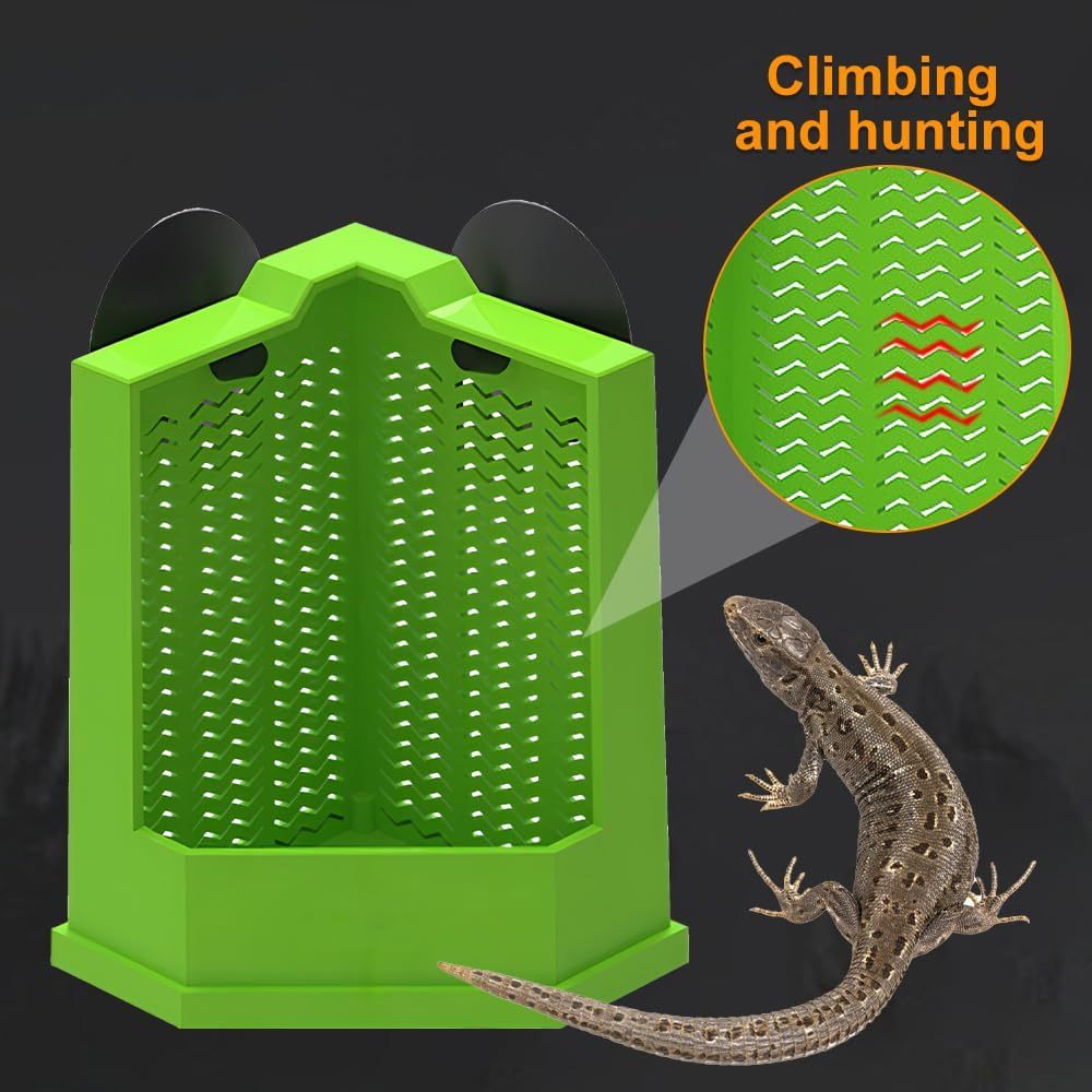 Corner Mounted Reptile Feeder Box
