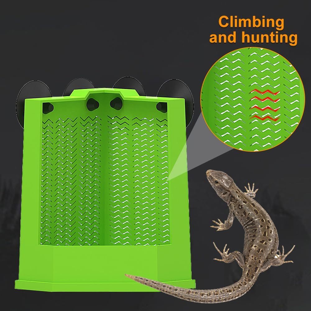 Corner Mounted Reptile Feeder Box